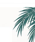 Palm leaf decor