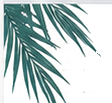 Botanical palm leaves